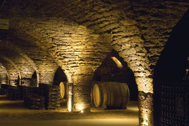 Wine cellar tasting