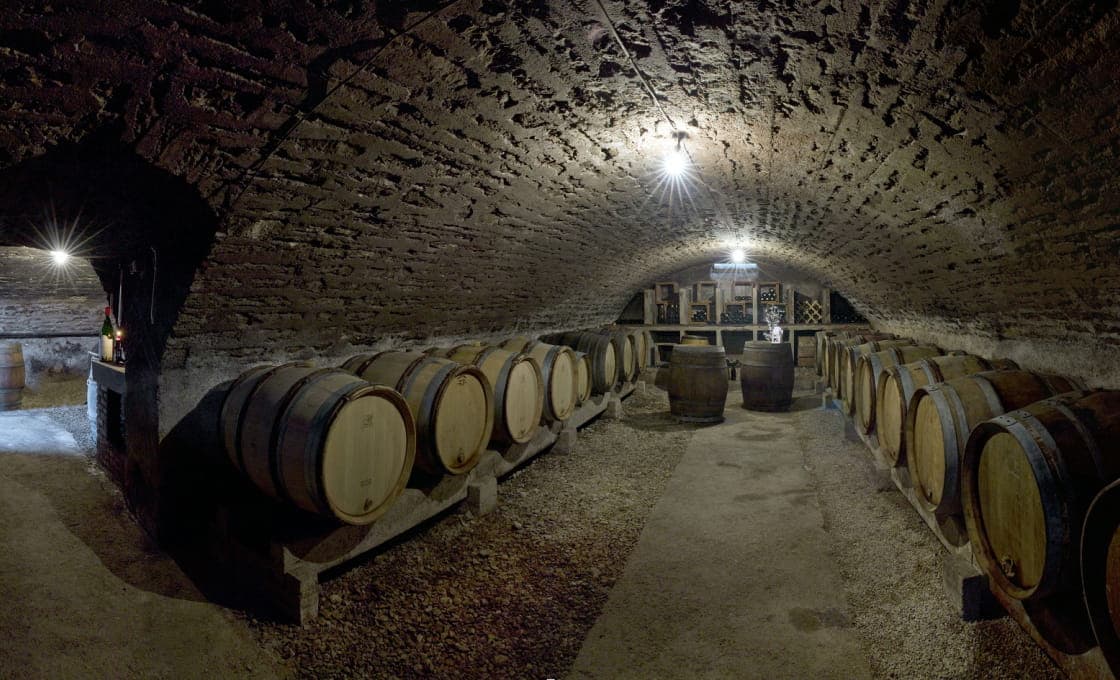 Burgundy & Rhône Valley 2